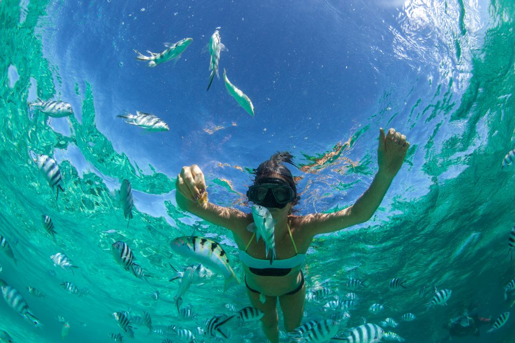 Mergulho nas Ilhas Maurício. Viajar é uma das coisas que os brasileiros no verão mais gostam de fazer.